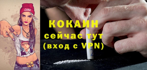 дживик Ветлуга